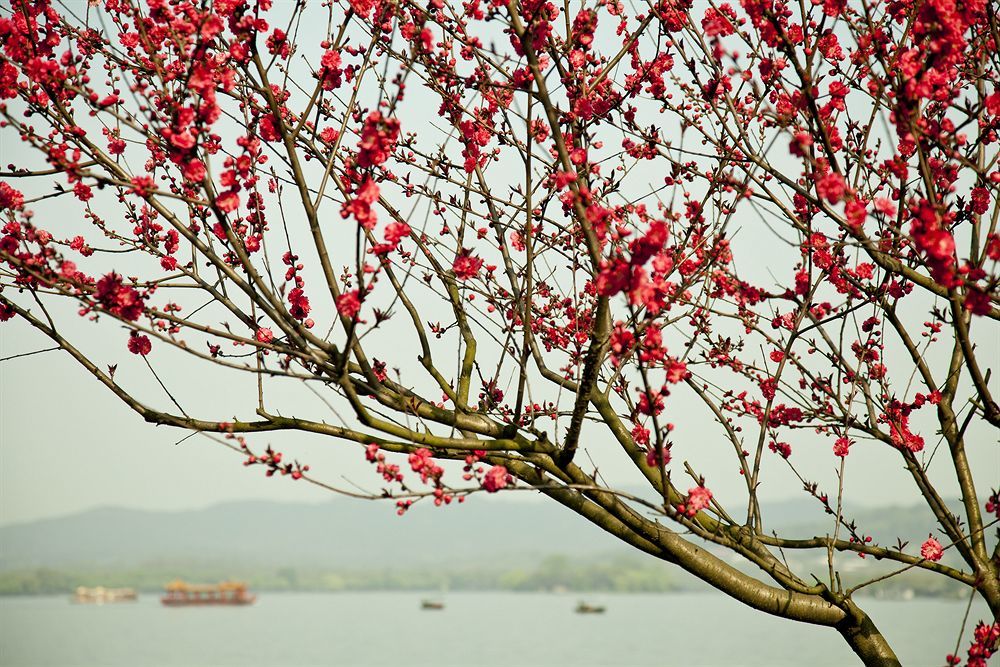 Liuying Hotel West Lake Ханчжоу Екстер'єр фото